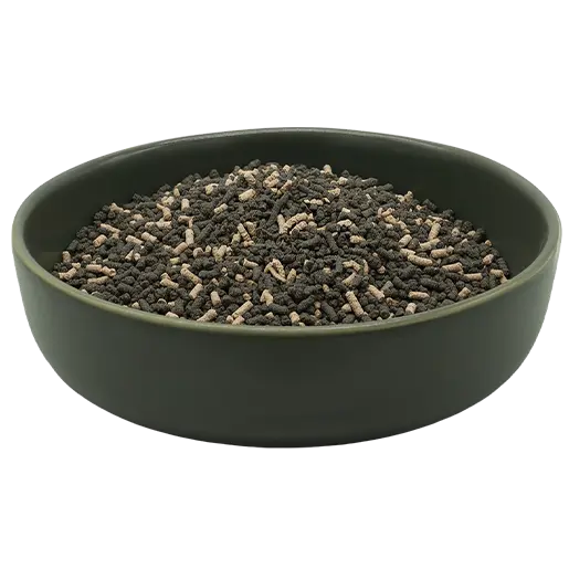REiCO Darm Balance+