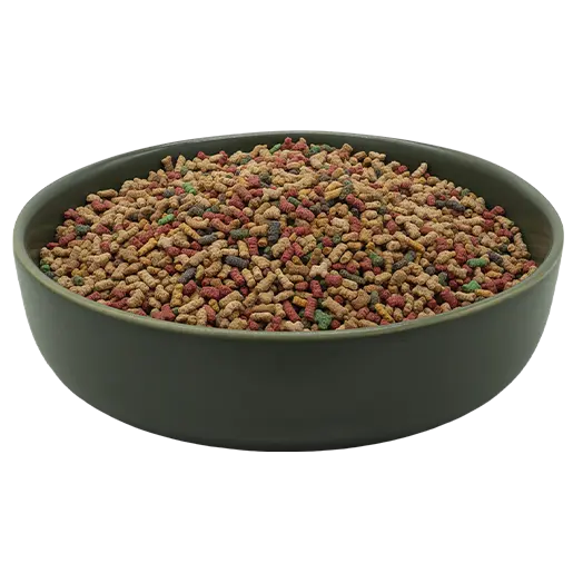 REiCO Hormon Balance+