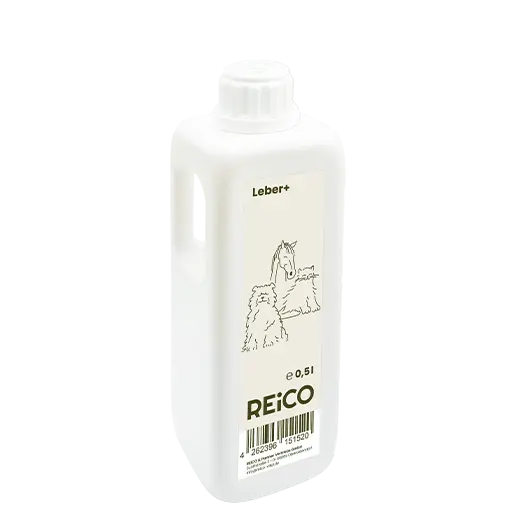REiCO Leber+