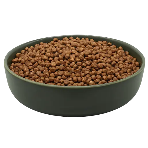 MAXiCAT Premium