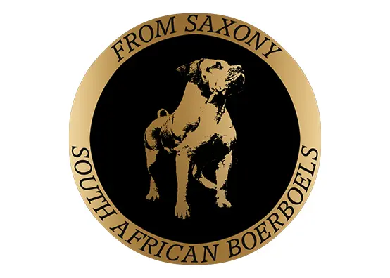 Saxony Boerboels